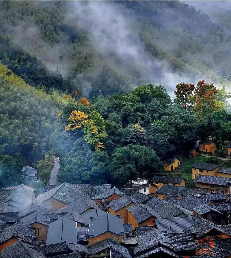 妙鸭相机app下载官网