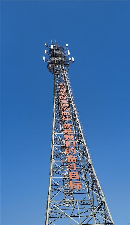 黄金村里过苗年
