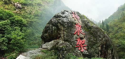 牢筑反诈城墙 “维C行动”再起航！平安普惠衡水分公司举办金融宣传活动